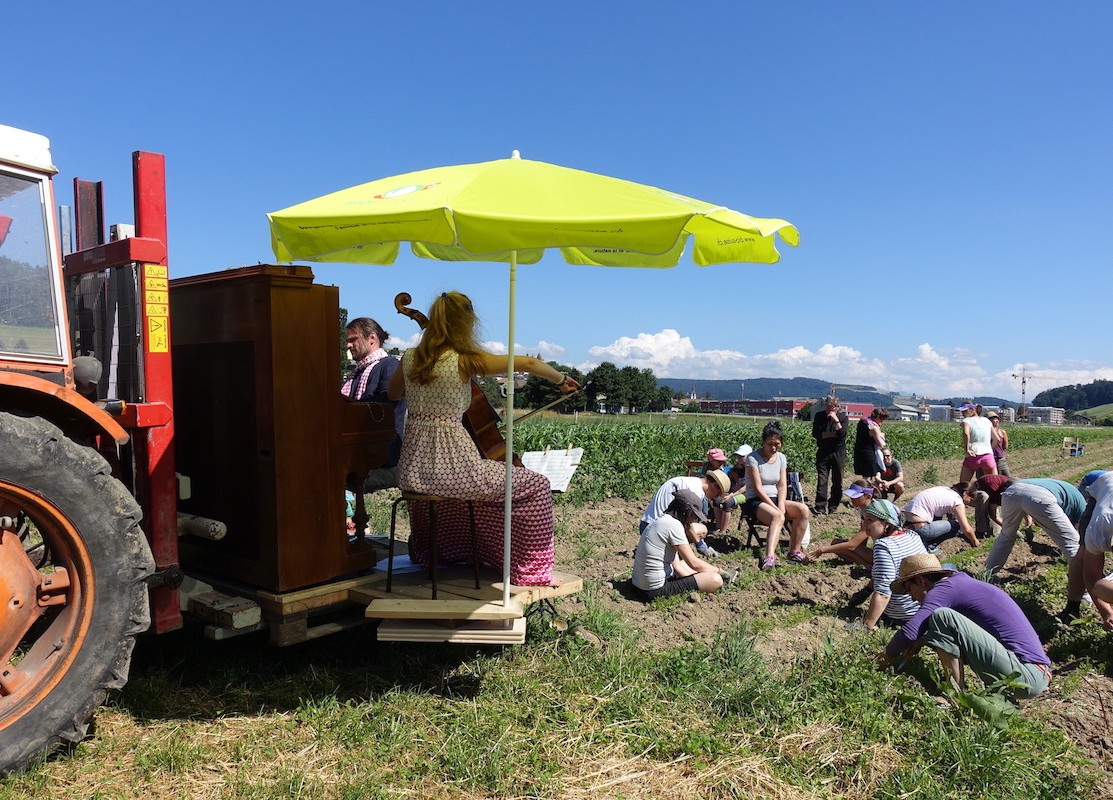 Musicians playing for workers picking crops